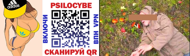 Псилоцибиновые грибы прущие грибы  кракен ССЫЛКА  Гаврилов Посад 